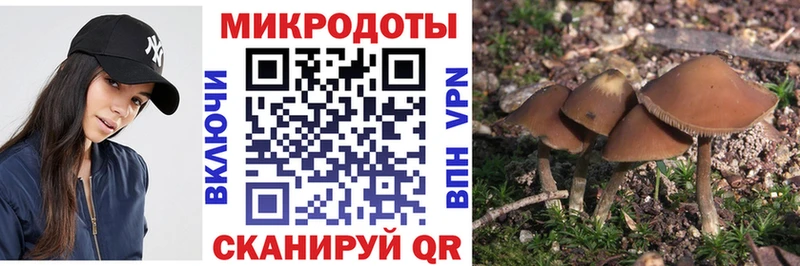 Галлюциногенные грибы MAGIC MUSHROOMS  Инза 